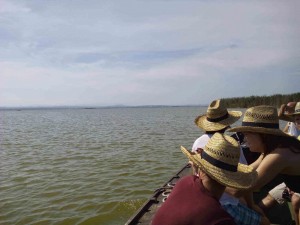 Paseo en barca por la Albufera