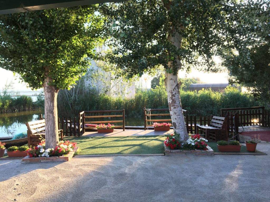 Paseos en barca por la Albufera de Valencia