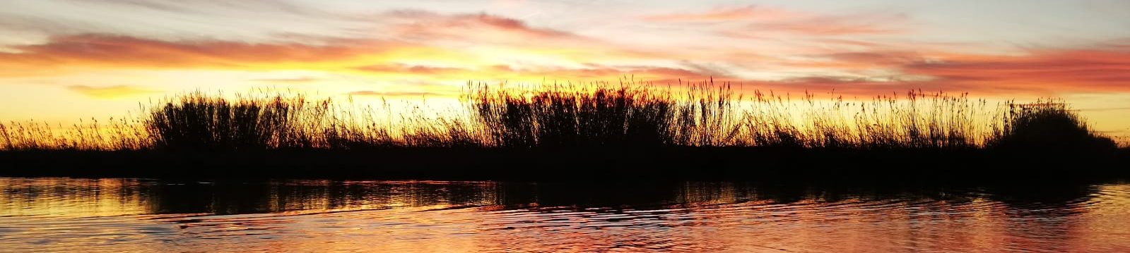 Atardecer en la Albufera